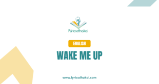 Wake Me Up English Lyrics for Karaoke Online - LyricsDhakoi.com