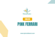 Pink Ferrari English Lyrics for Karaoke Online - LyricsDhakoi.com