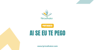 Ai Se Eu Te Pego Portuguese Lyrics for Karaoke Online - LyricsDhakoi.com